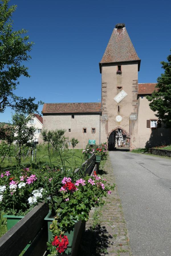 Au Petit Paradis Ammerschwihr Exterior photo